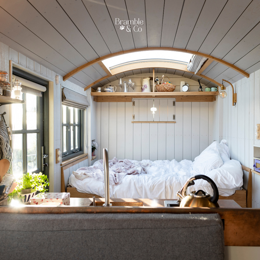 Enjoying Staycations with Your Dog: Tips for a Perfect Pet-Friendly Getaway