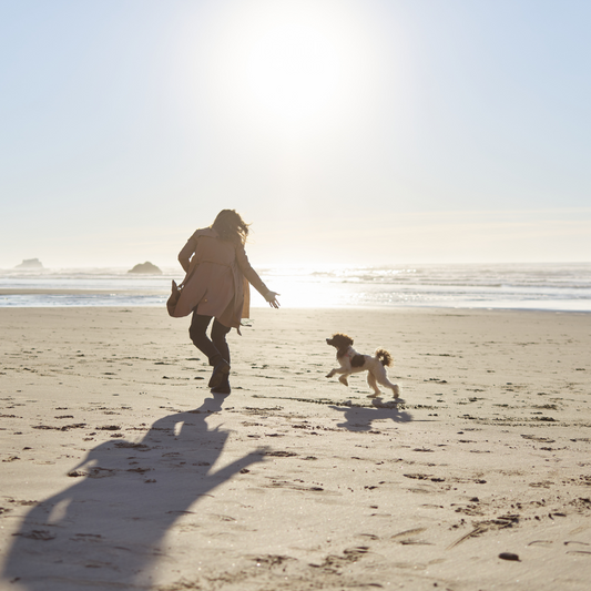 Top Dog-Friendly Beaches in the UK