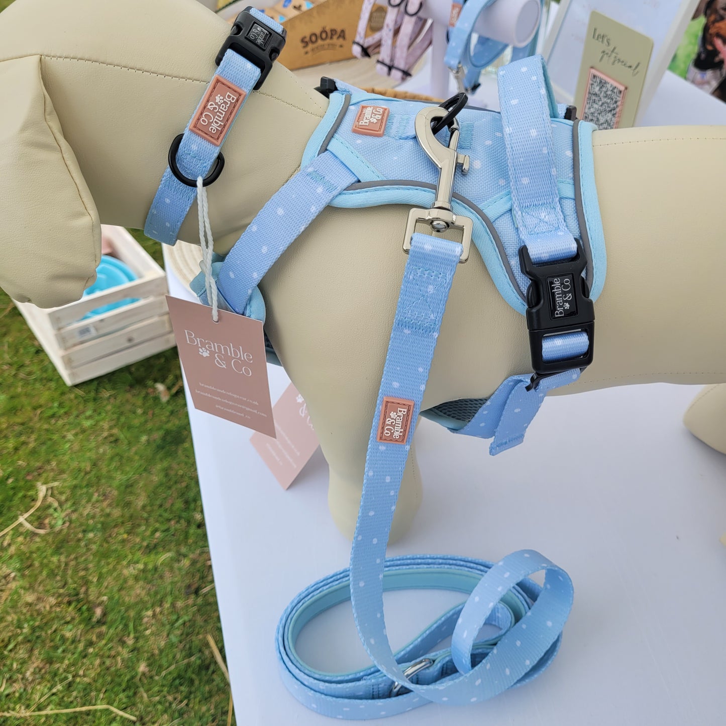 Lead - Beachy Blue