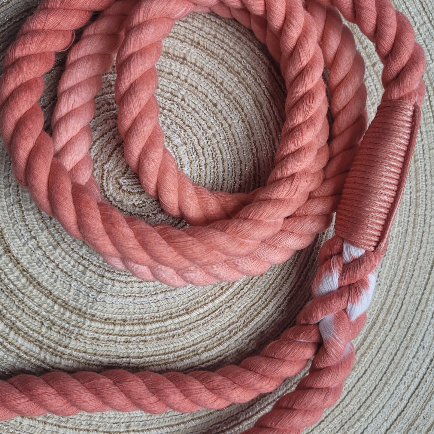 Rope Lead - Orange Twist