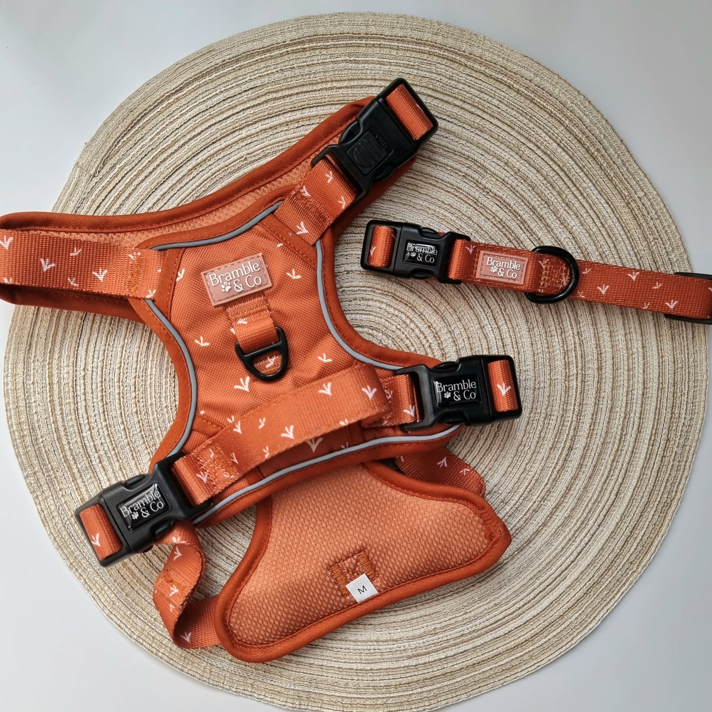 Adjustable Collar - Autumn Rain