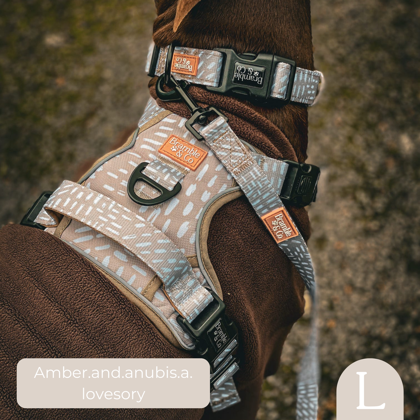 Adjustable Collar - The Feelings Neutral