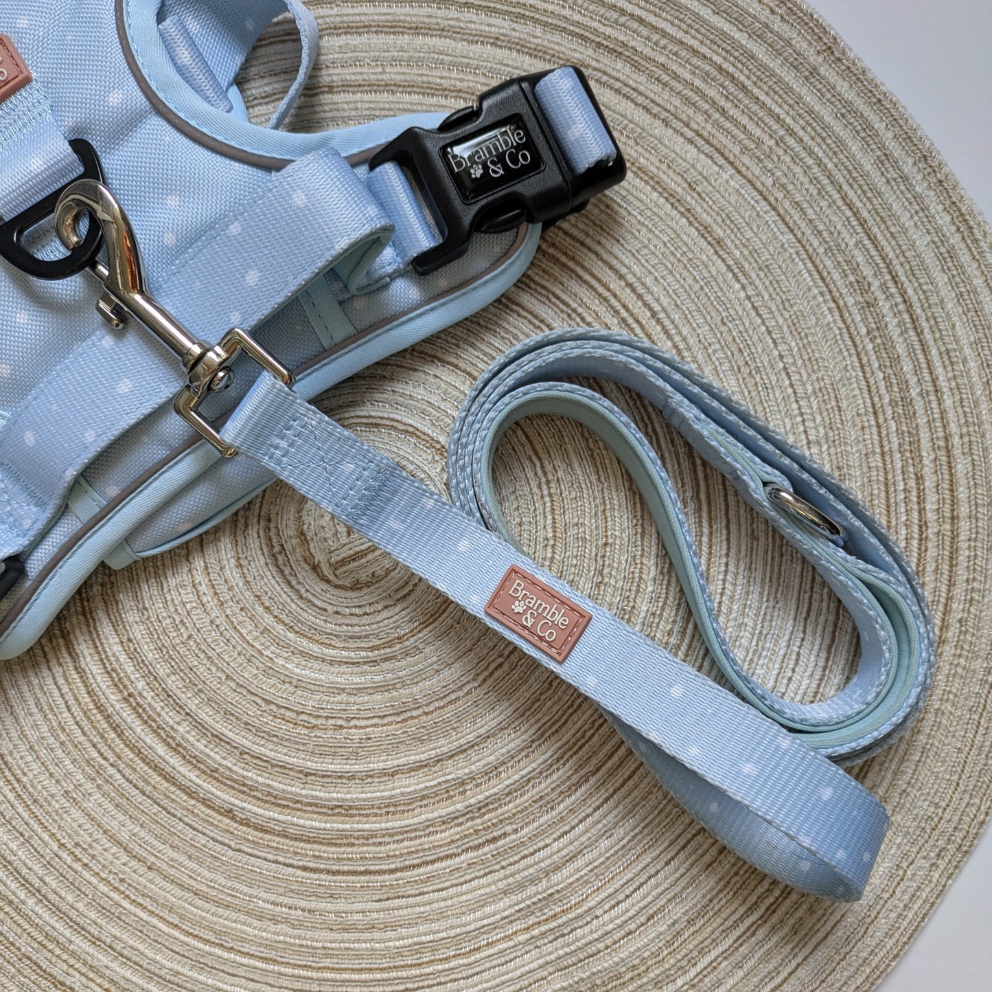 Lead - Beachy Blue