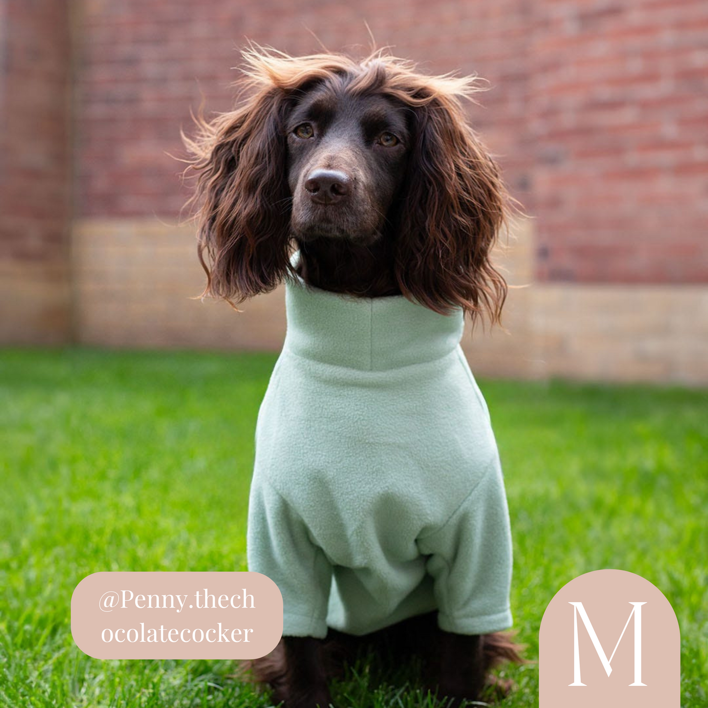 Fleece Jumper