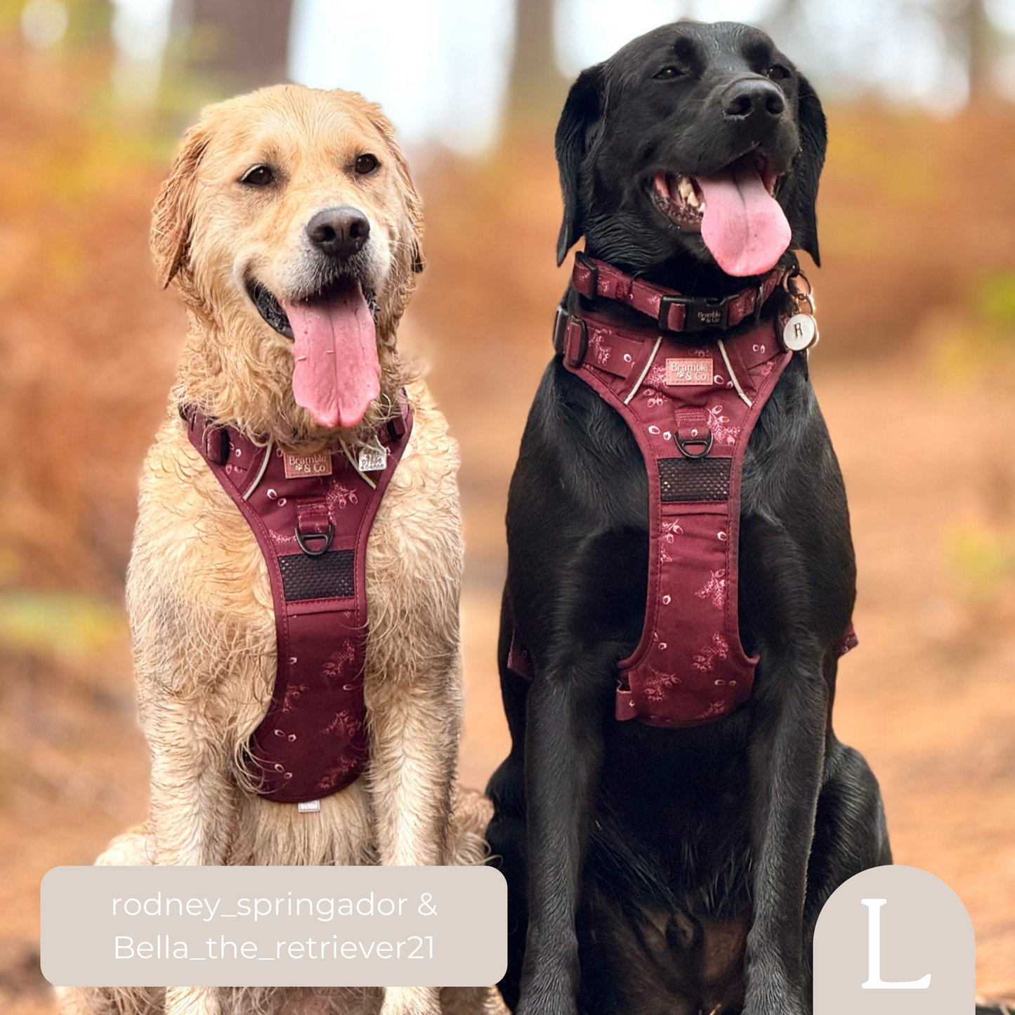 3-Point Adjustable Harness - Wild berry Woodland