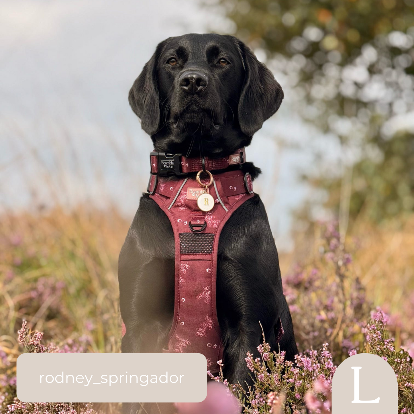 Adjustable Collar - Wild berry Woodland