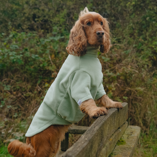 Fleece Jumper