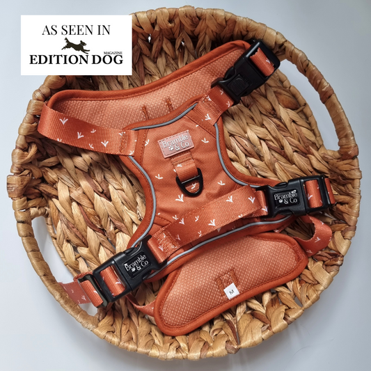 3-Point Adjustable Harness - Autumn Rain