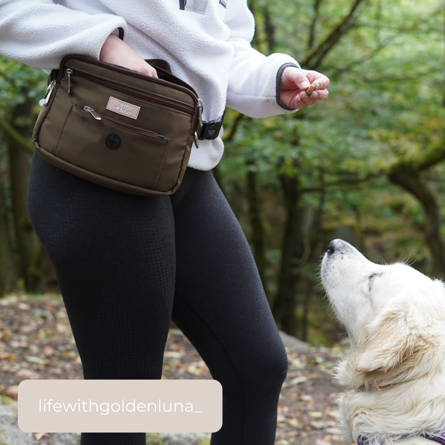 Dog Walking Bag - Brown