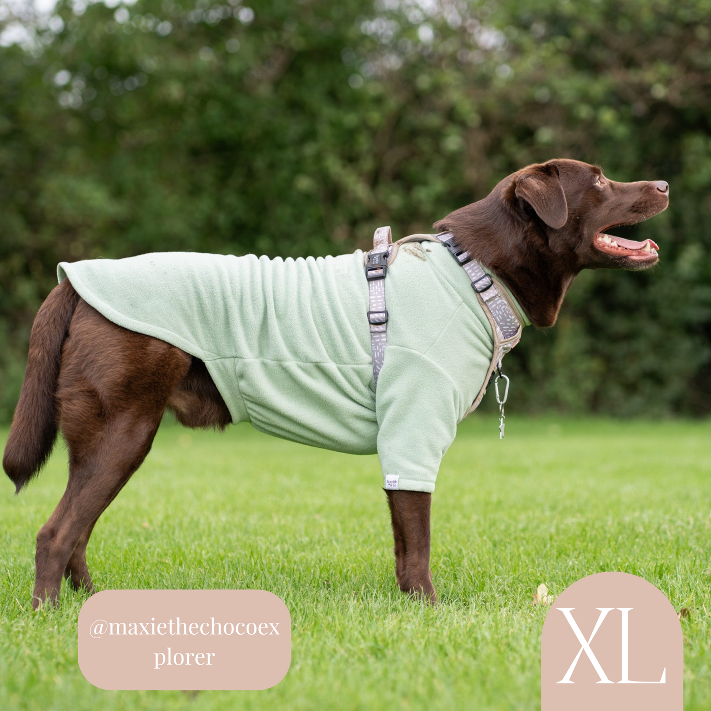 Fleece Jumper