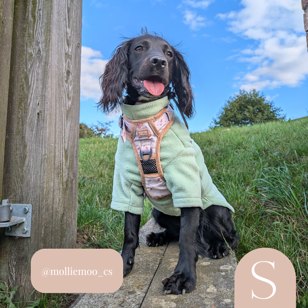 Fleece Jumper