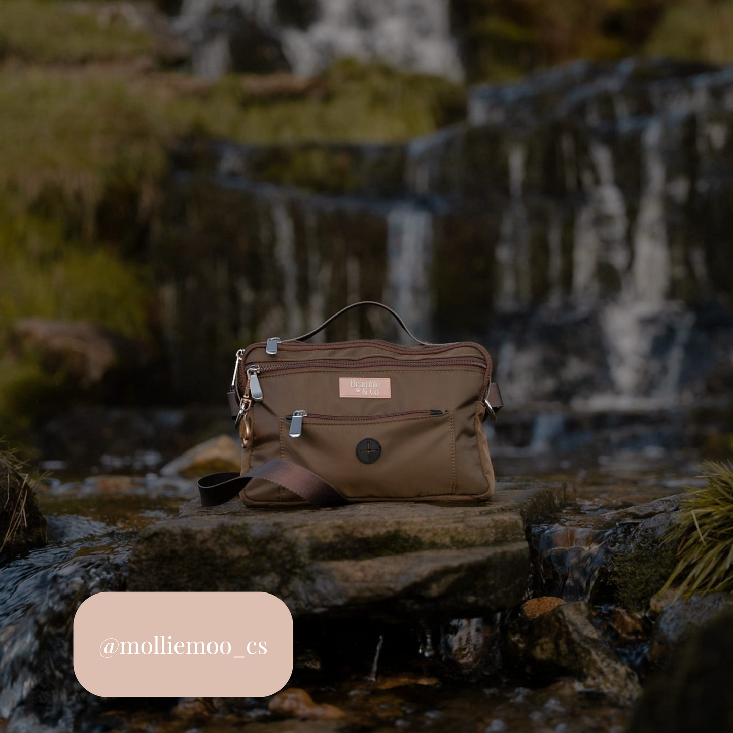Dog Walking Bag - Brown