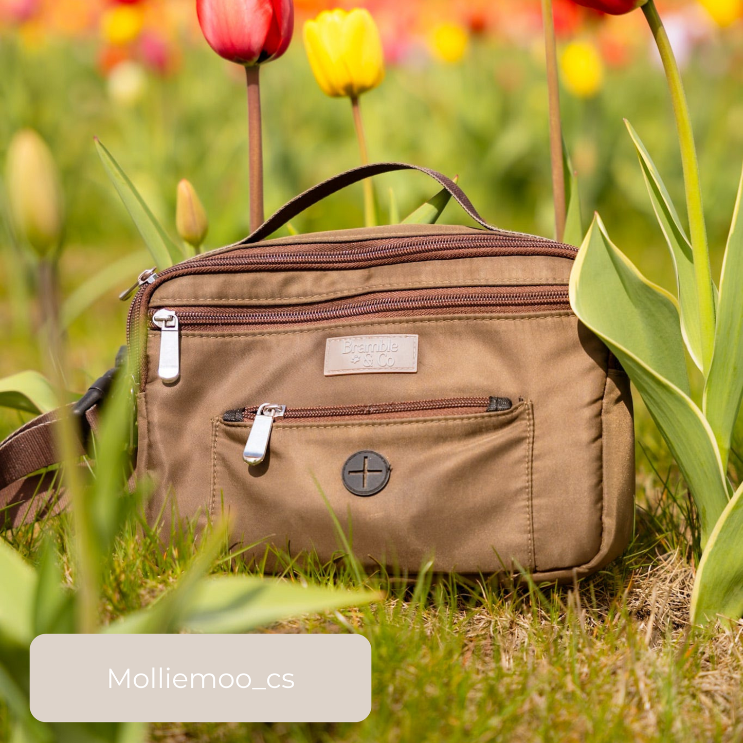 Dog Walking Bag - Brown