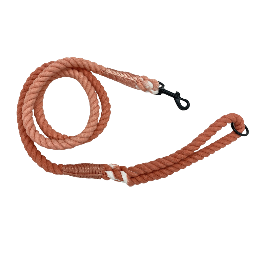 Rope Lead - Orange Twist