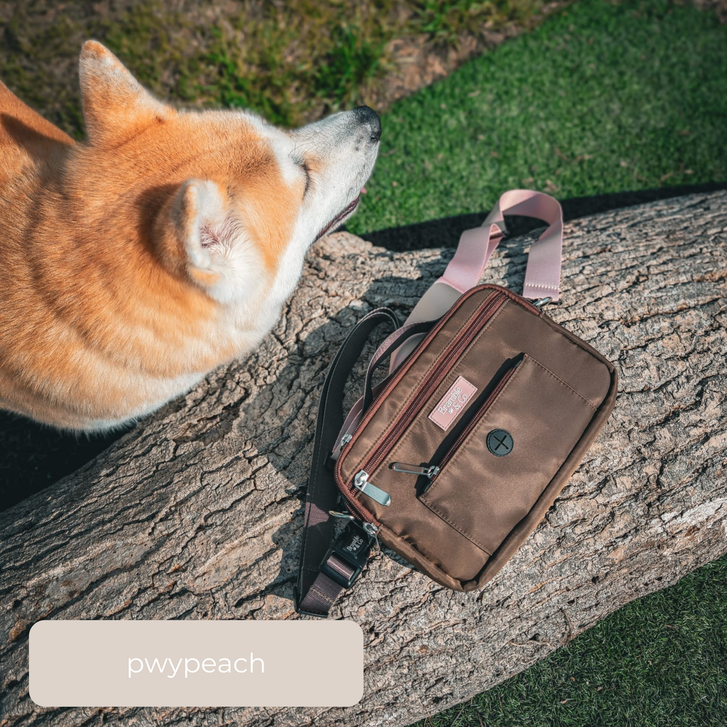 Dog Walking Bag - Brown