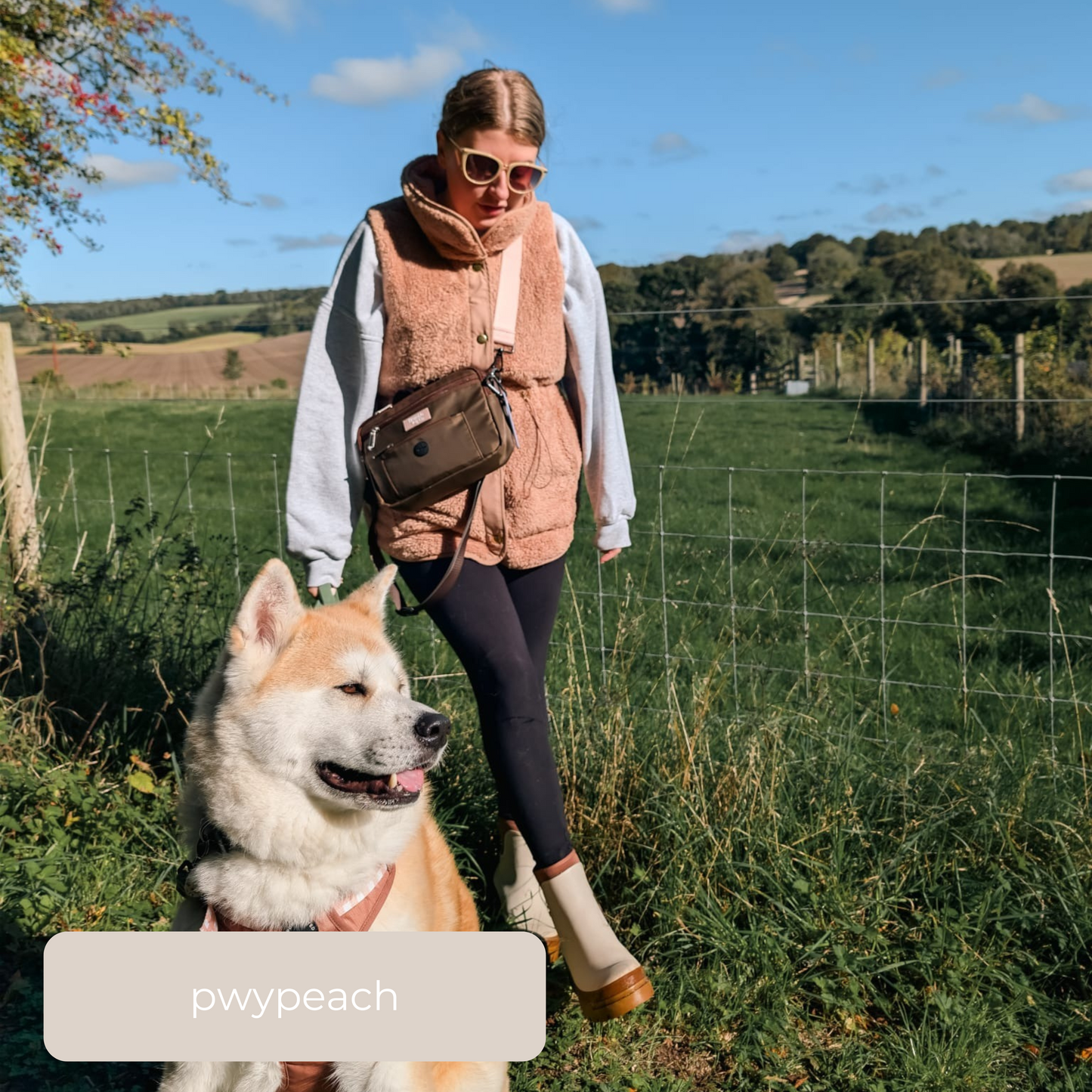 Dog Walking Bag - Brown