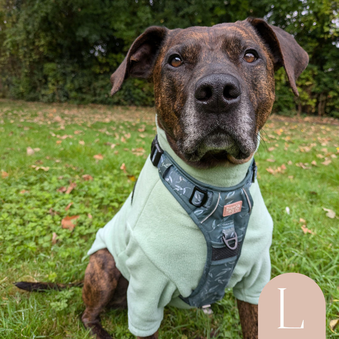 Fleece Jumper
