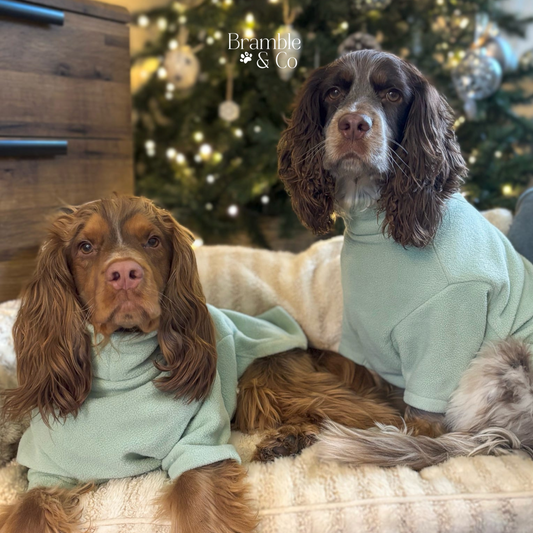 Christmas Wish List from Bramble & Co: Treat Your Dog This Holiday Season