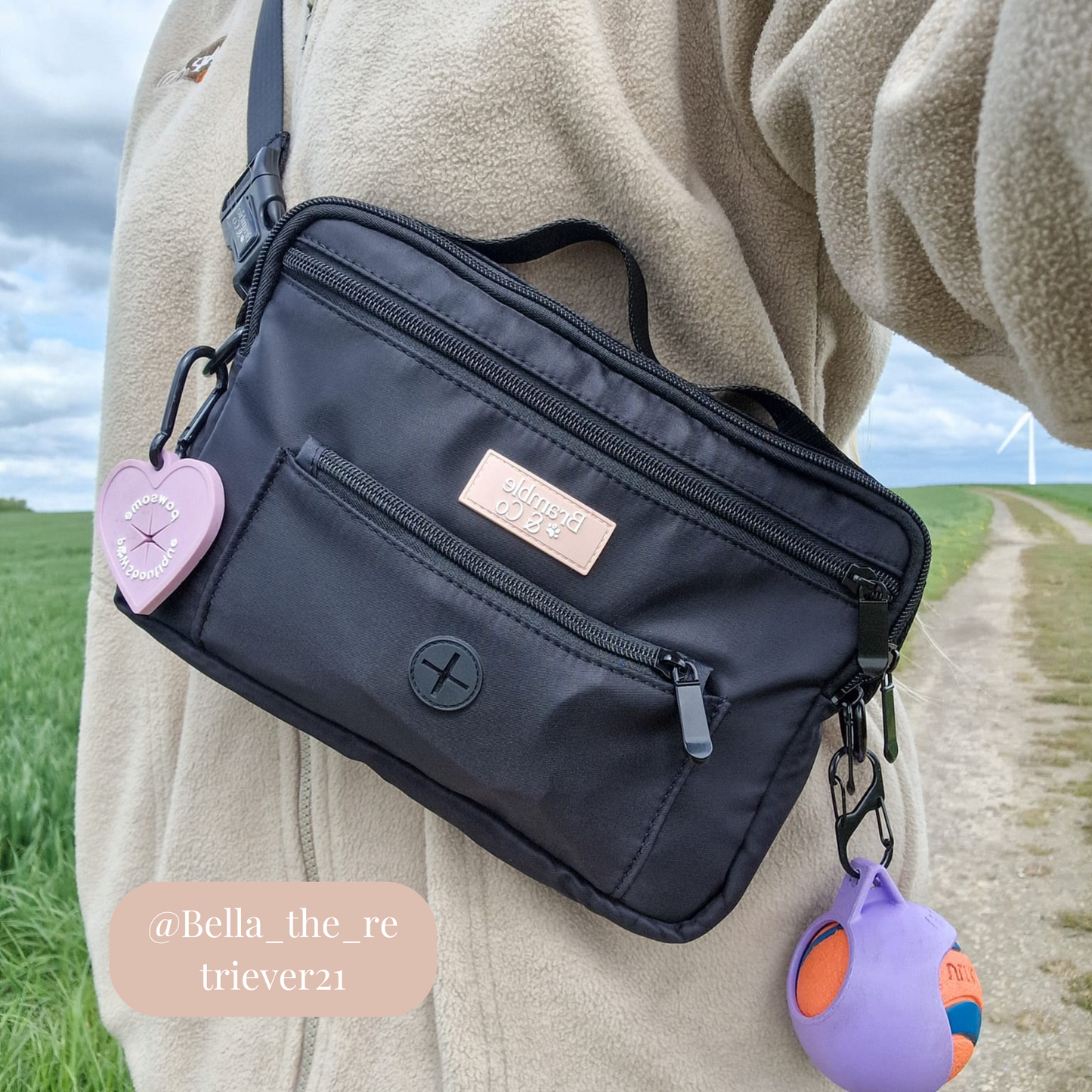 Dog Walking Bag - Black