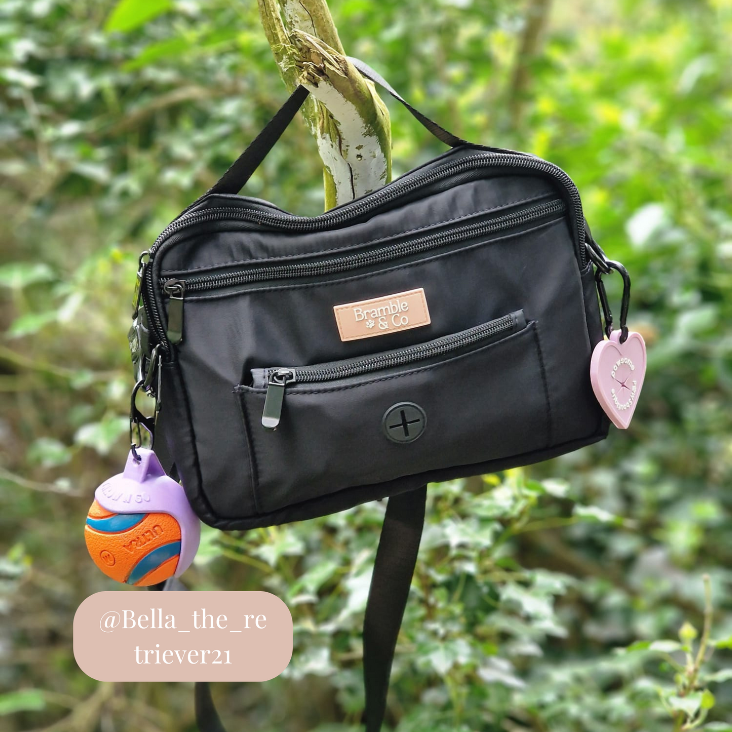 Dog Walking Bag - Black