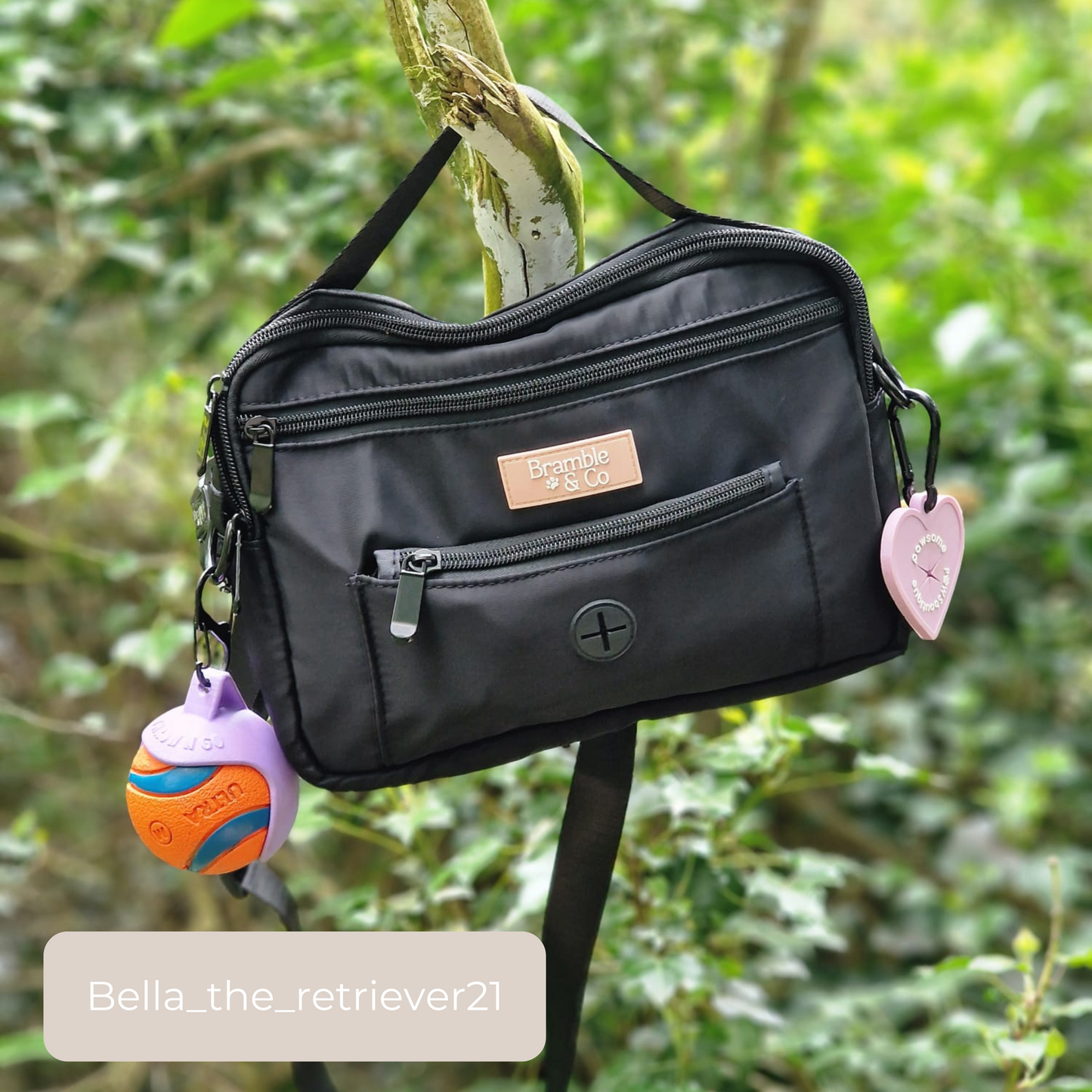 Dog Walking Bag - Black