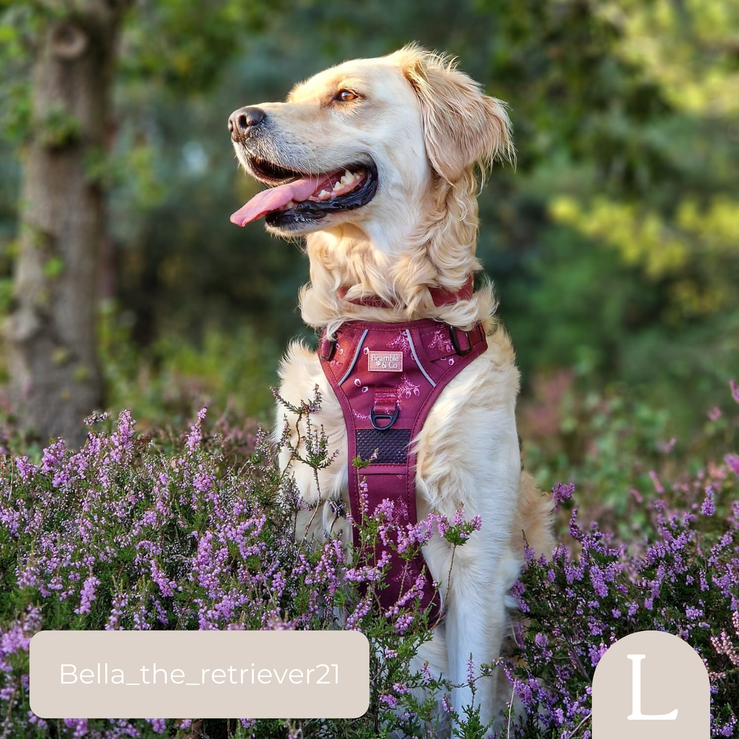 3-Point Adjustable Harness - Wild berry Woodland