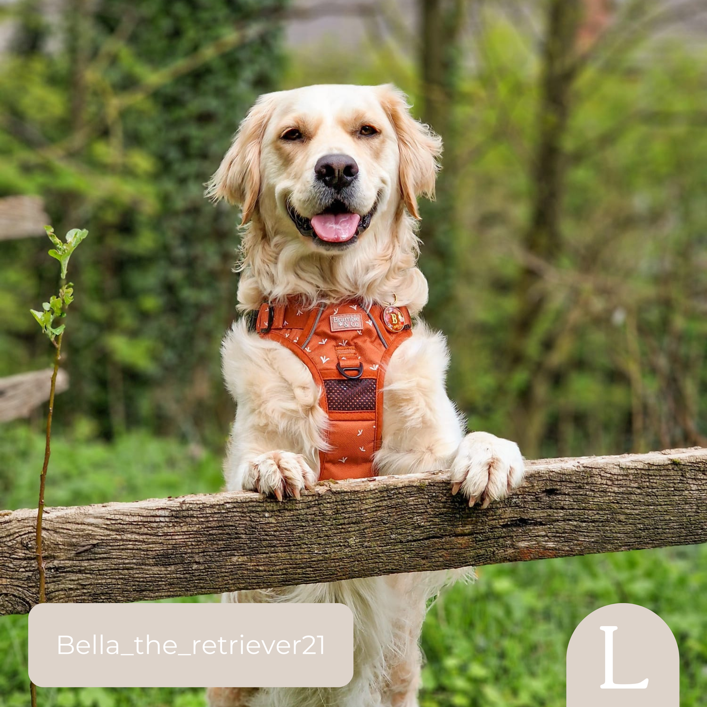 3-Point Adjustable Harness - Autumn Rain