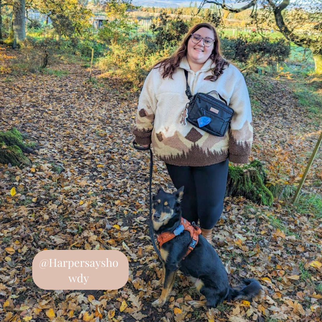 Dog Walking Bag