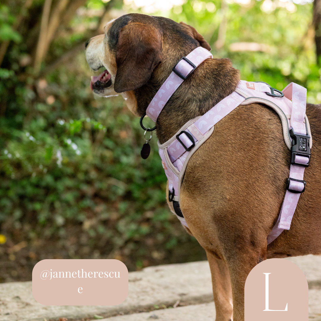3 Point Adjustable Harness Dusty Rose Rainbows Bramble and co