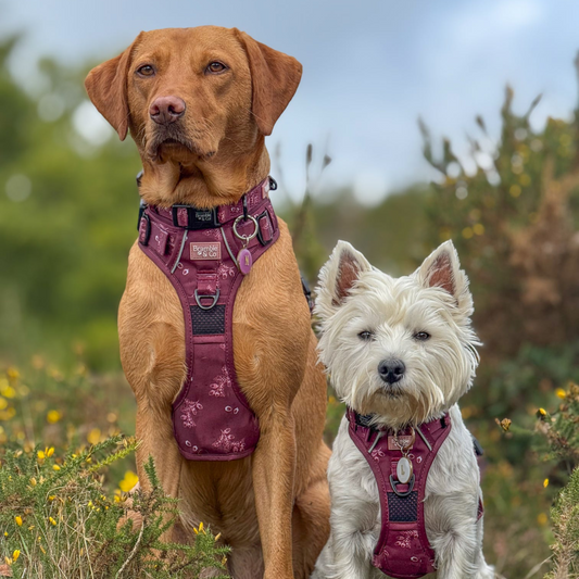 3-Point Adjustable Harness - Wild berry Woodland