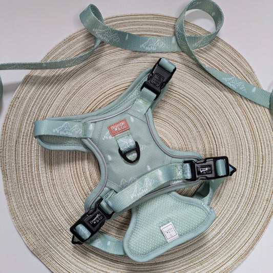 3-Point Adjustable Harness - It's Mint To Be