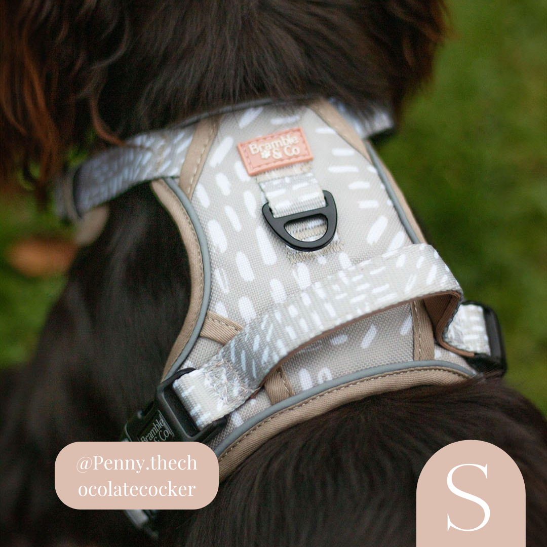 3-Point Adjustable Harness - The Feelings Neutral