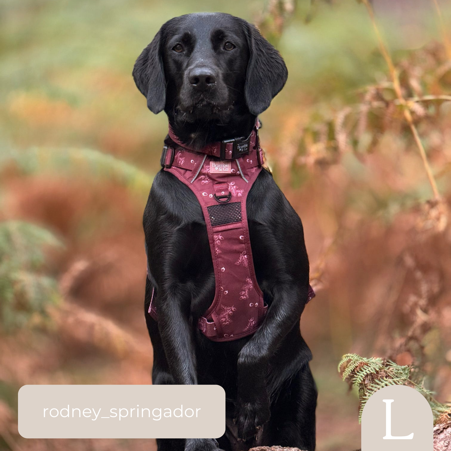 3-Point Adjustable Harness - Wild berry Woodland