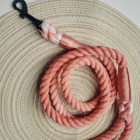 Rope Lead - Orange Twist