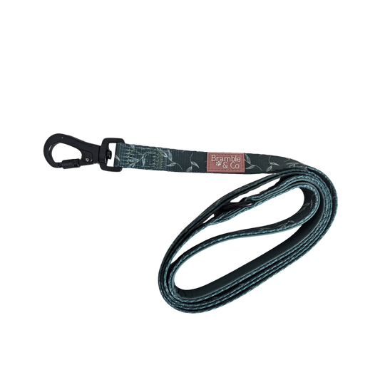 Swivel Lead - Fern Baby Fern