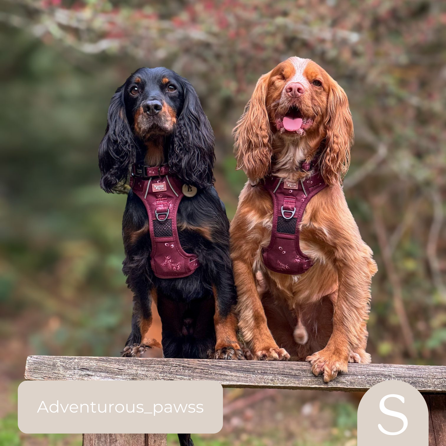 3-Point Adjustable Harness - Wild berry Woodland