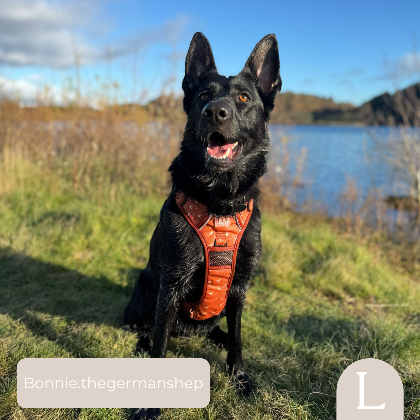 3-Point Adjustable Harness - Autumn Rain