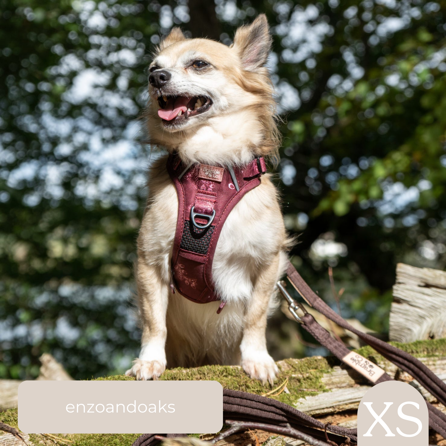 3-Point Adjustable Harness - Wild berry Woodland