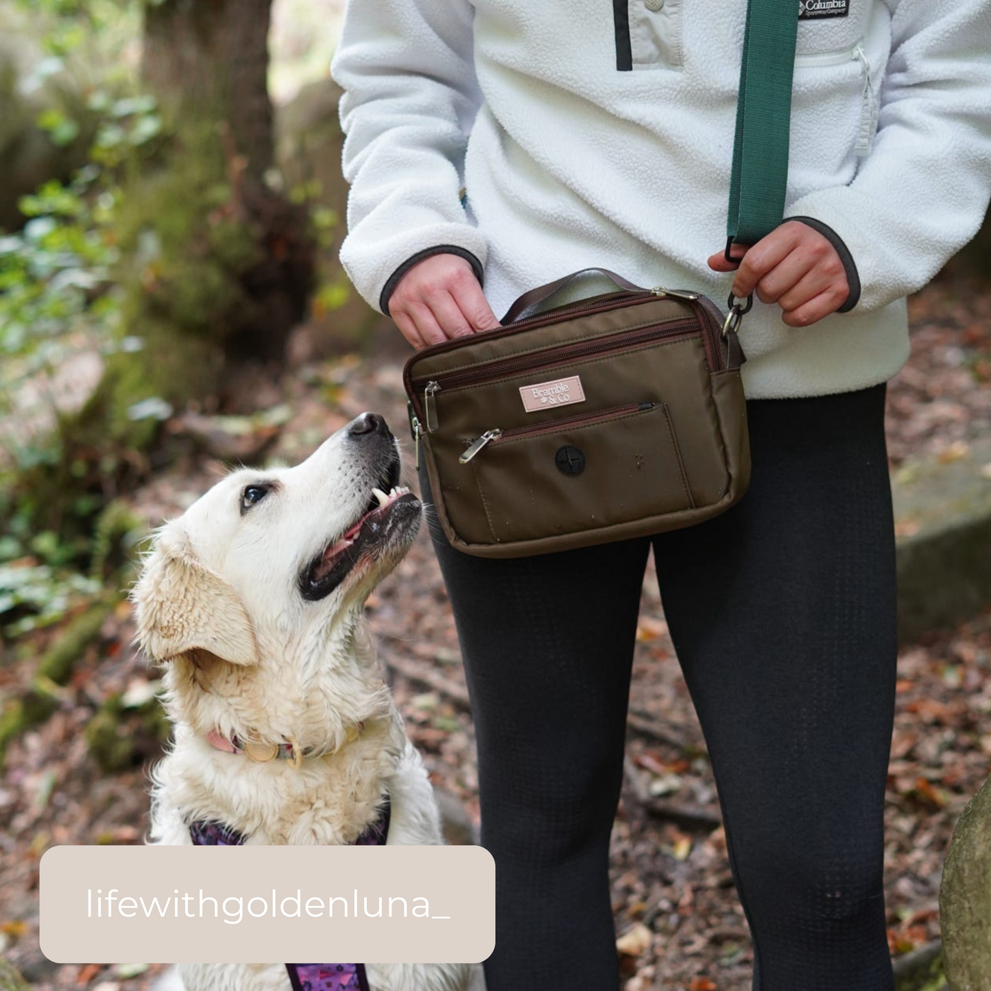 Dog Walking Bag - Brown