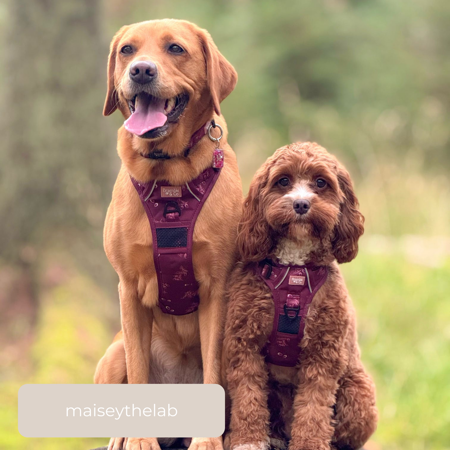 3-Point Adjustable Harness - Wild berry Woodland