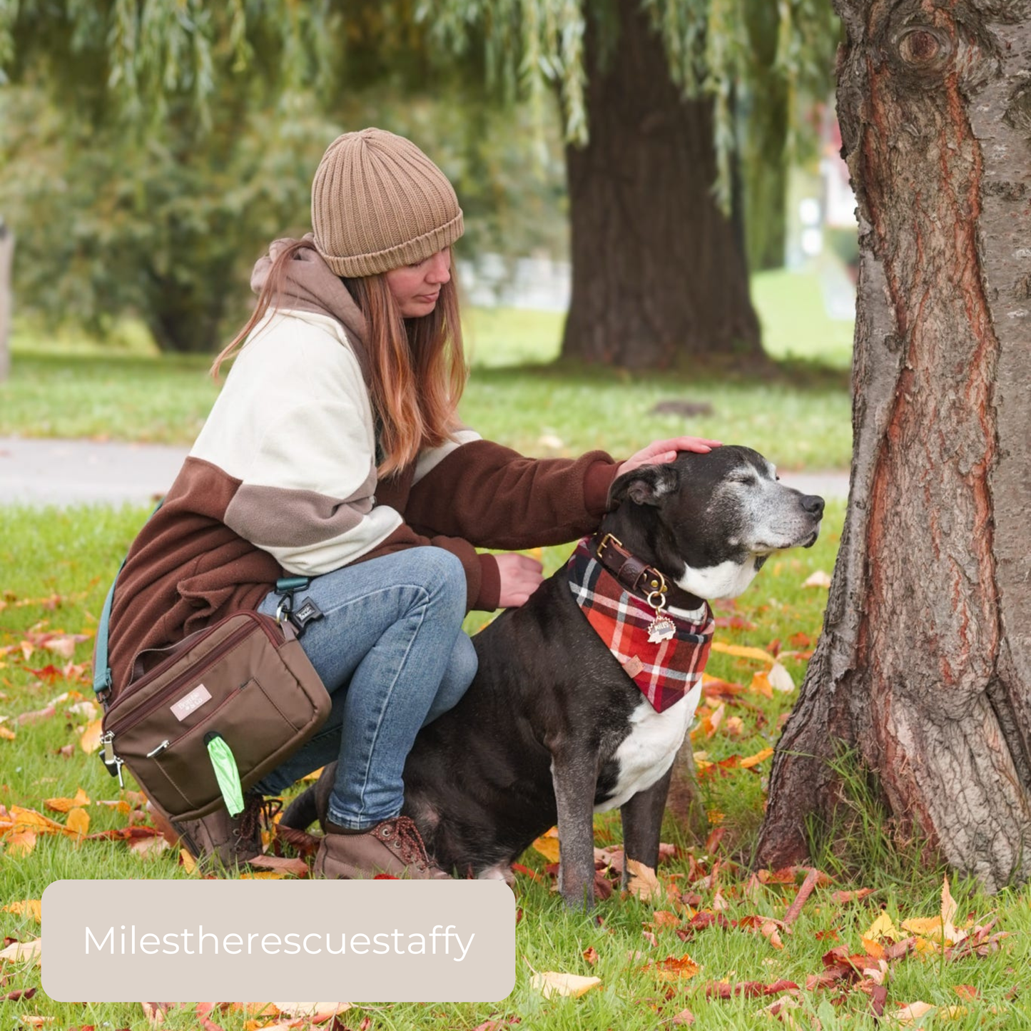 Dog Walking Bag - Brown