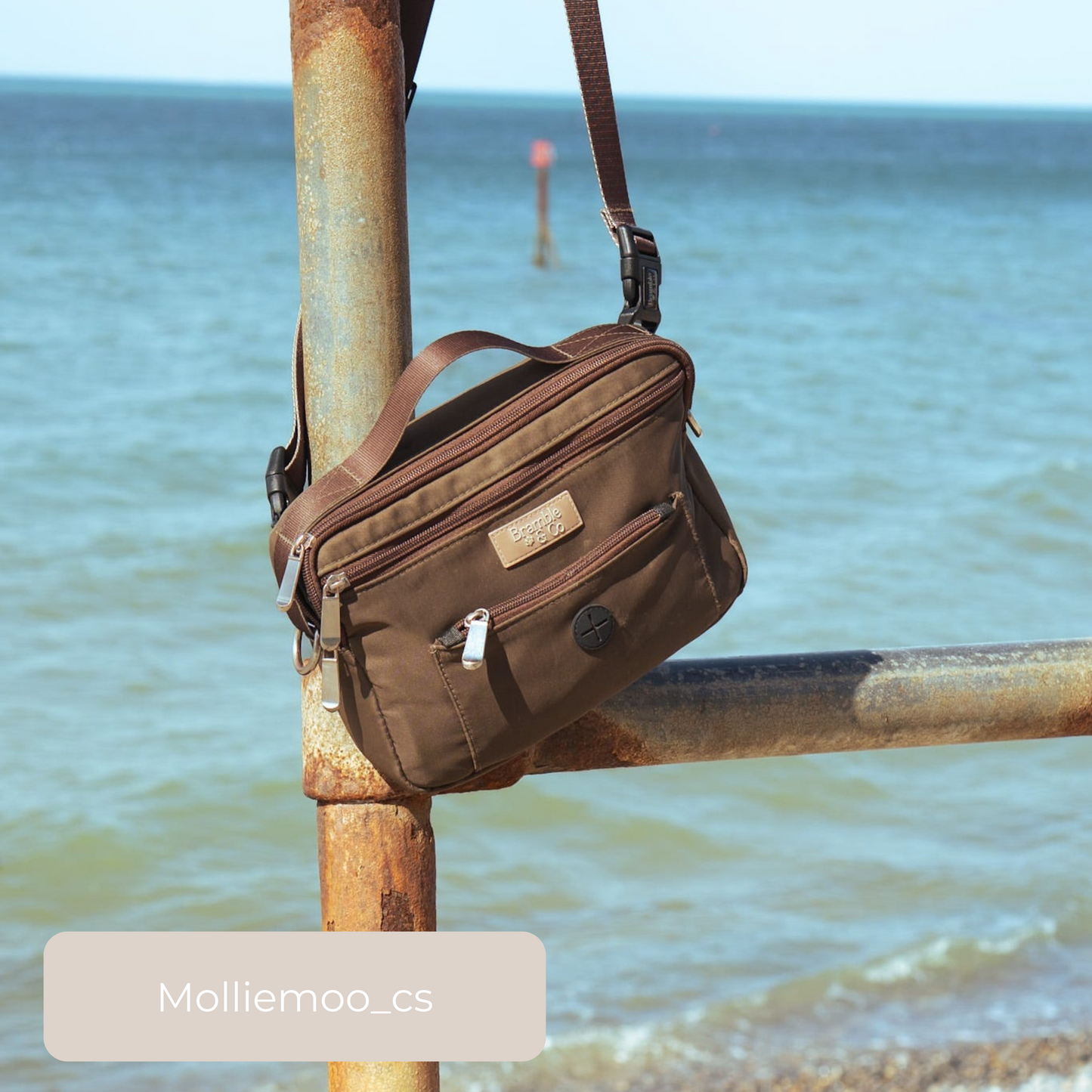 Dog Walking Bag - Brown