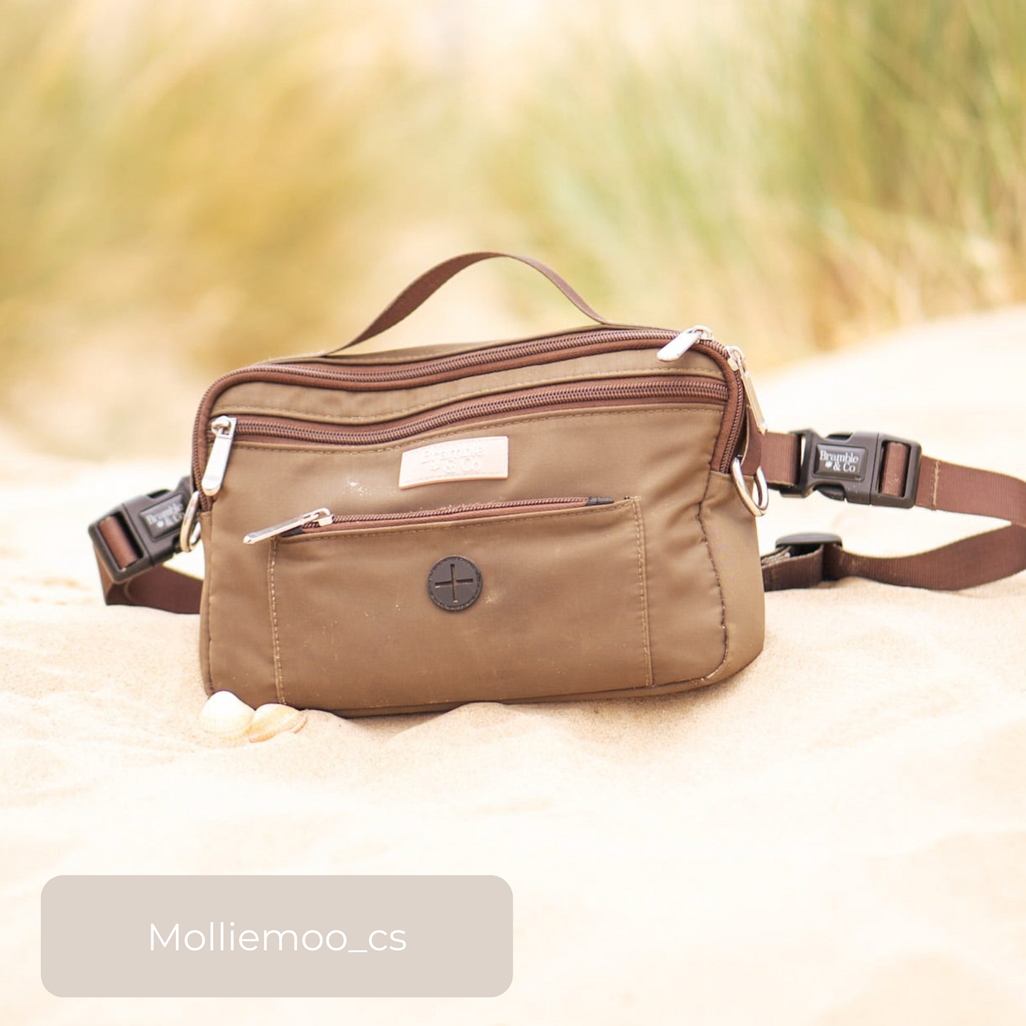 Dog Walking Bag - Brown