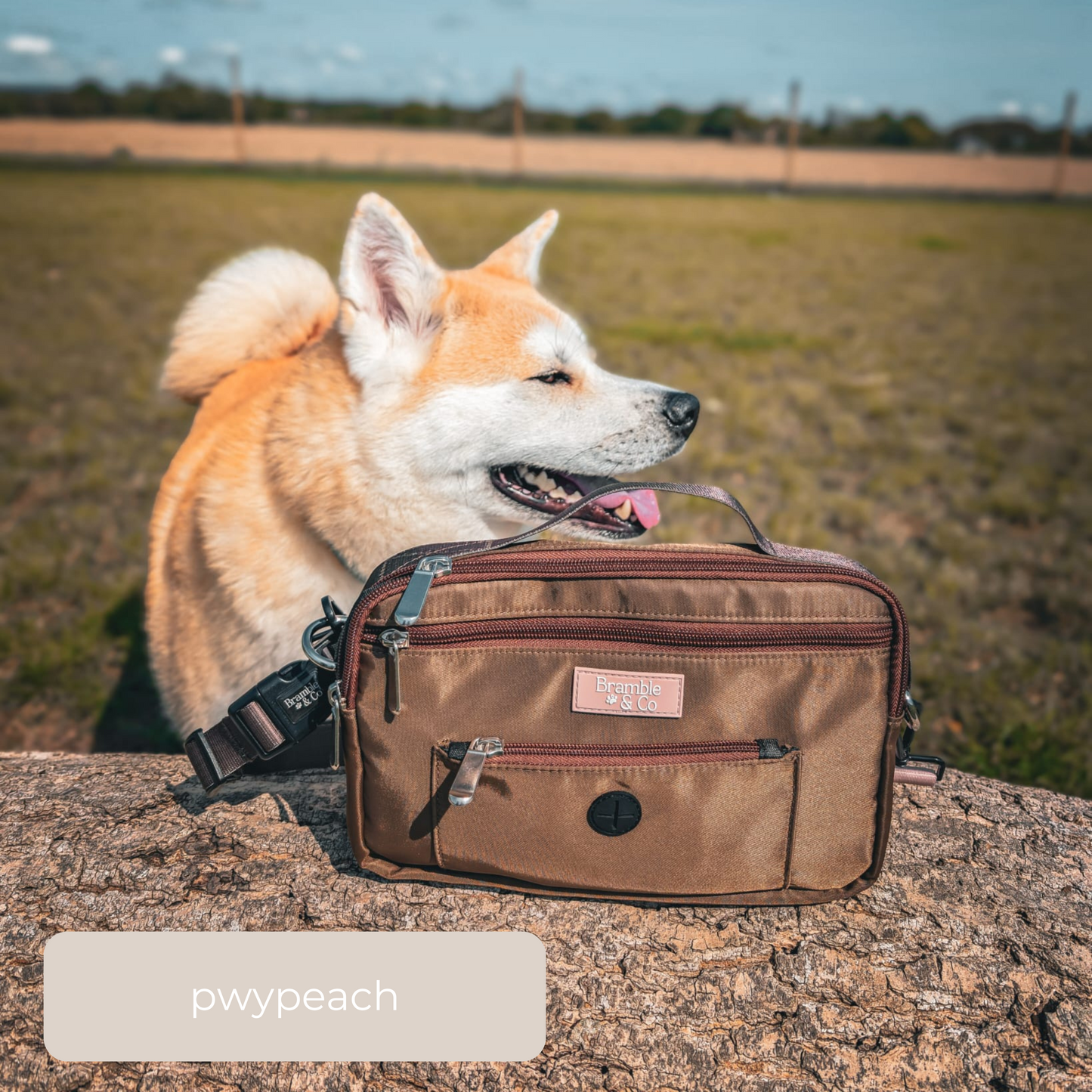 Dog Walking Bag - Brown