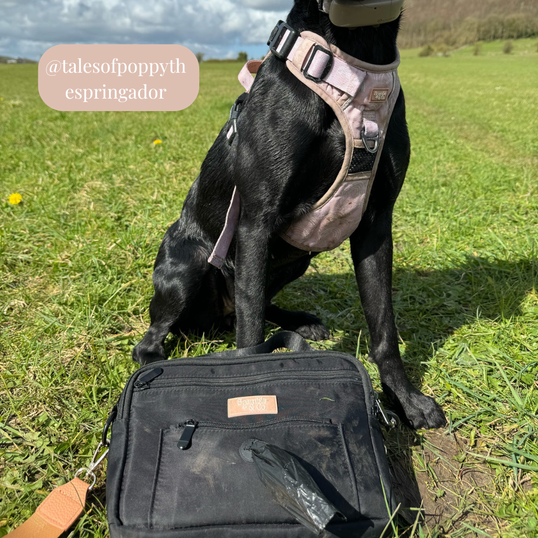 Dog Walking Bag