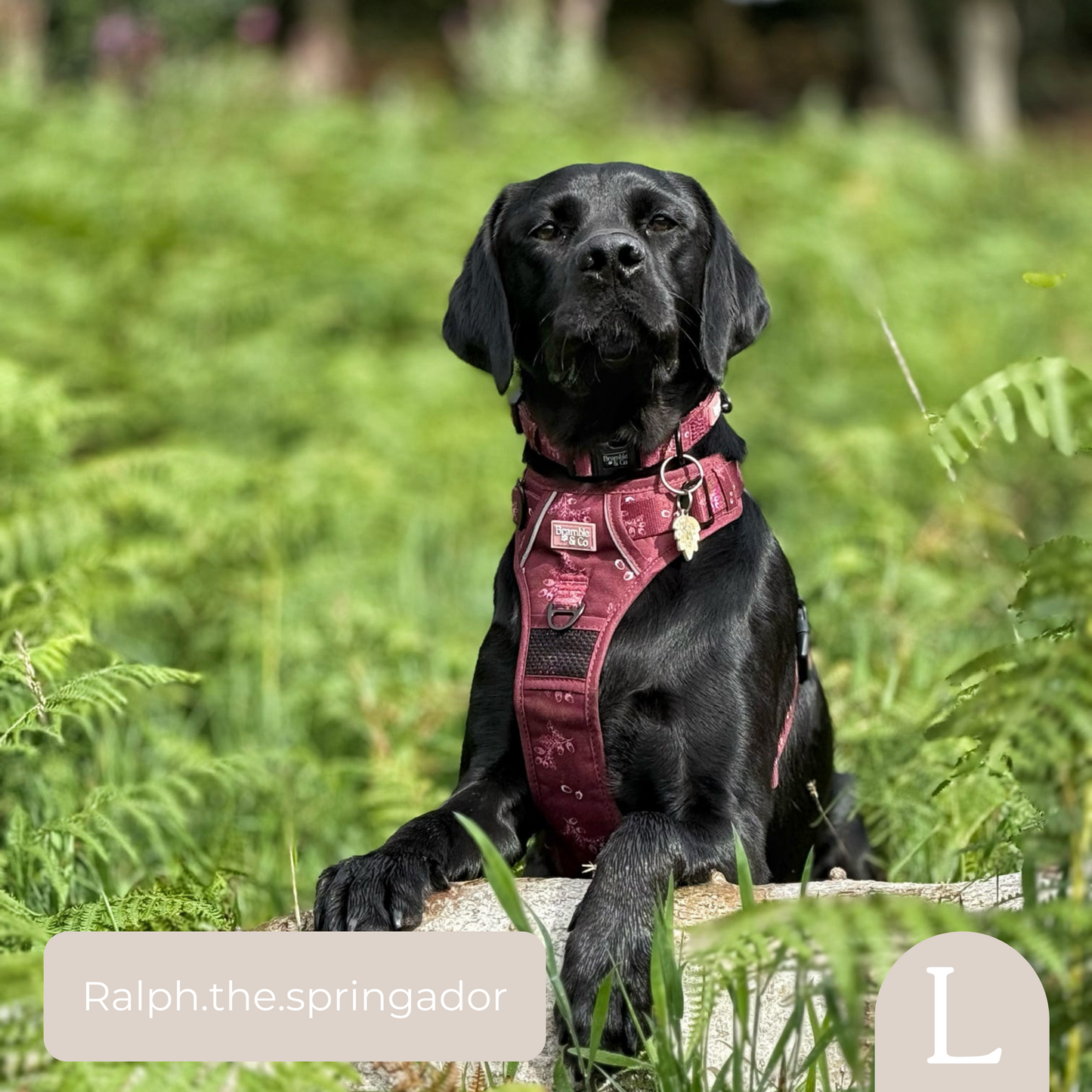 3-Point Adjustable Harness - Wild berry Woodland