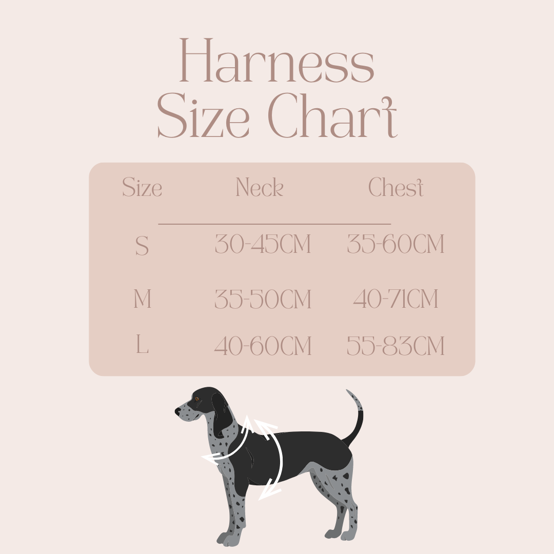Harness size for clearance beagle