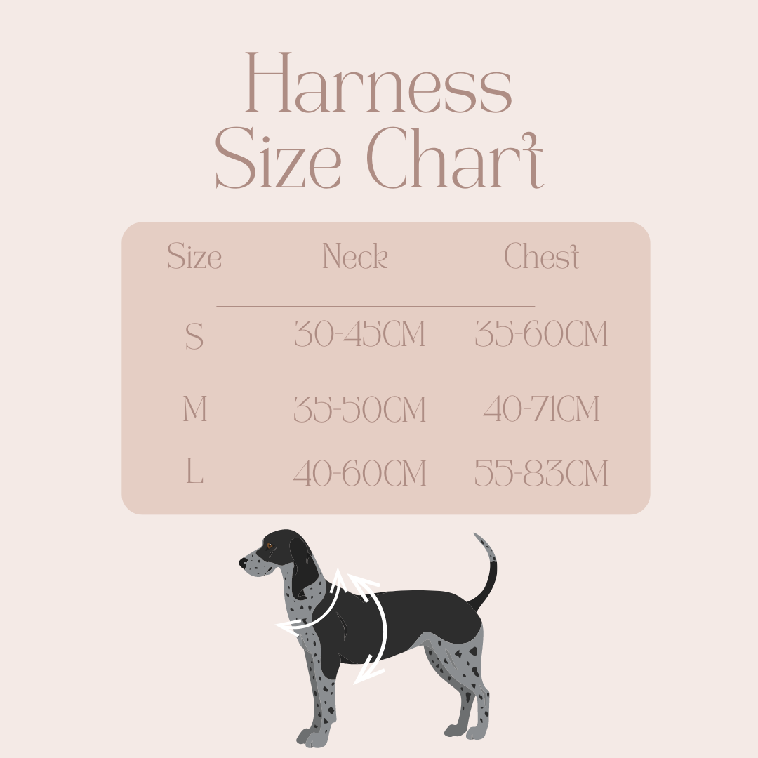 Harness size 2024 for beagle